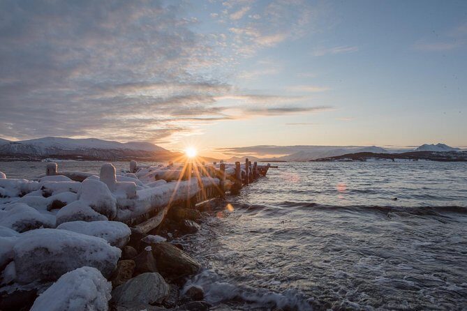 Winter Fjord Road Trip with Citizen Science with Wandering Owl - FAQs