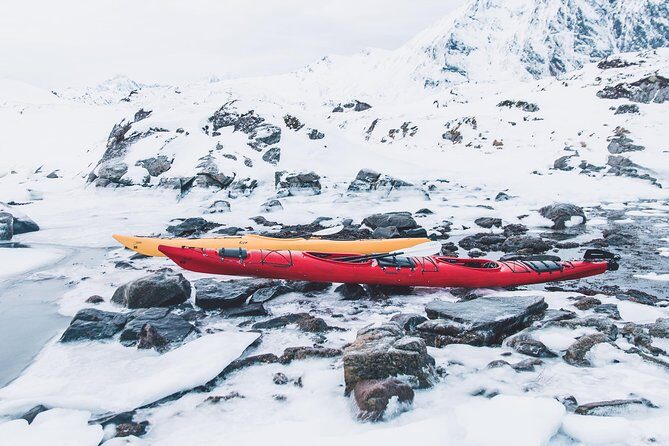 Winter Half Day Kayak Tour - The Experience in Detail