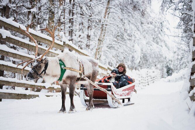 Winter highlights: Snowmobile, Arctic Animals And Santa`s Village - The Sum Up