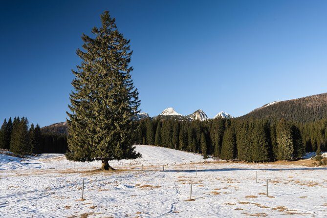 Winter Hike in Julian Alps - The Itinerary: A Day in the Julian Alps