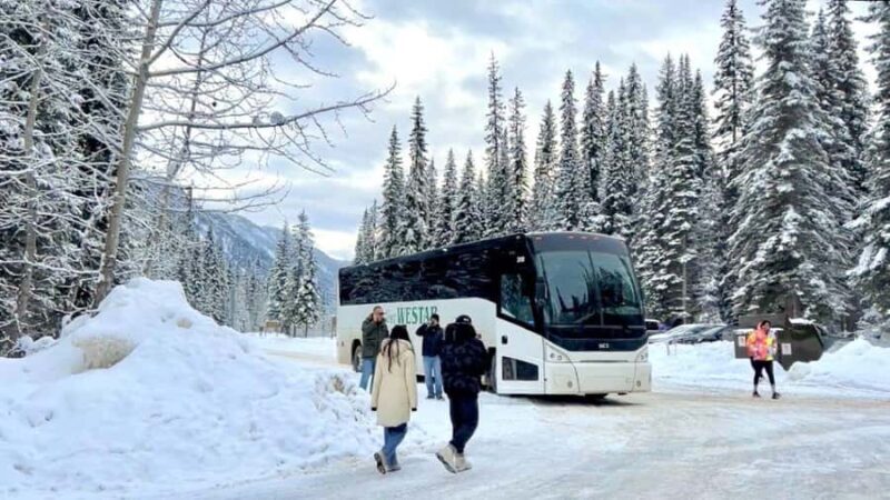 Winter Hikes, Gondolas, and Banff Day Trip - Frequently Asked Questions