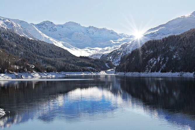 Winter Tour to Neuschwanstein Castle from Munich - Review Highlights and Authentic Voices