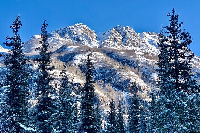 Winter Valley and Forest Hike - The Sum Up: Is the Winter Valley and Forest Hike Worth It?