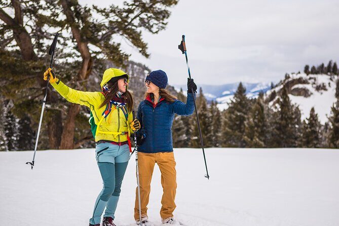 Winter Wildlife Safari: Lamar Valley | Bozeman | PRIVATE + Lunch - What’s Included & What’s Not