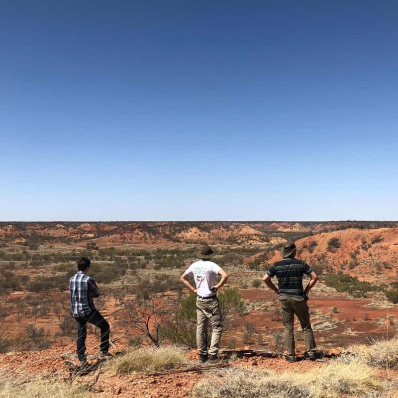 Winton: Dinosaur Stampede 3/4 Day Tour - The Sum Up