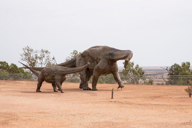 Winton Discovery Day Tour - Key Points