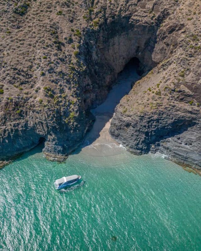Wirrina Cove: Coastal Sightseeing Boat Tour with Seal Colony - Wirrina Cove: Coastal Sightseeing Boat Tour with Seal Colony