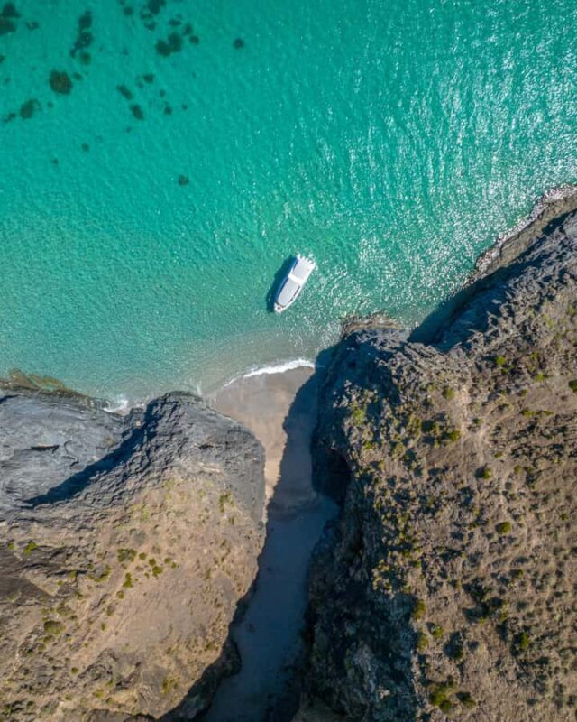 Wirrina Cove: Coastal Sightseeing Boat Tour with Seal Colony - The Itinerary and Highlights