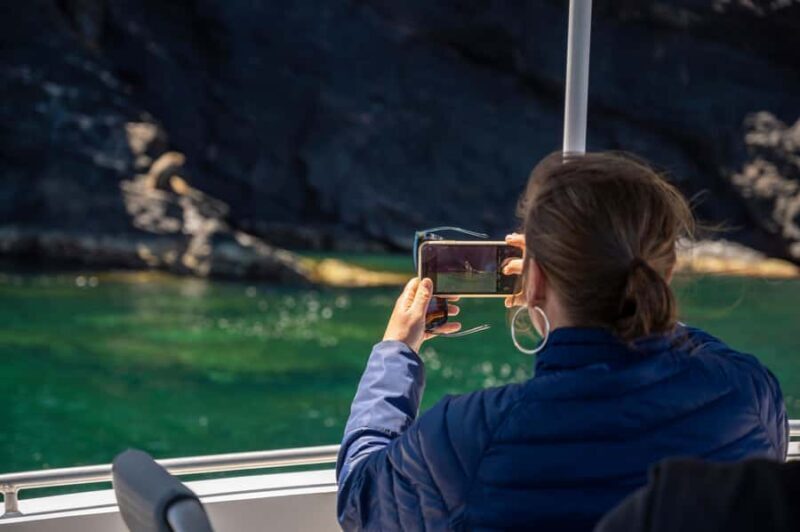 Wirrina Cove: Coastal Sightseeing Boat Tour with Seal Colony - The Practical Side: What to Expect and How to Prepare