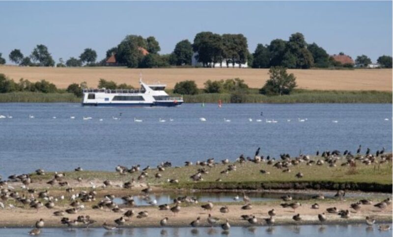 Wismar: Harbor Sightseeing Cruise - Key Points
