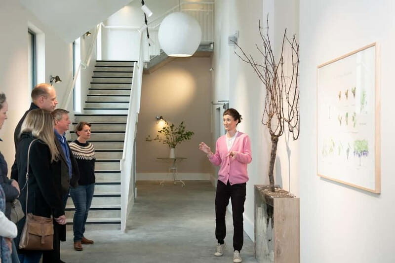 Wiston Estate: Winery Tour and Tasting - An In-Depth Look at the Wiston Estate Winery Tour and Tasting