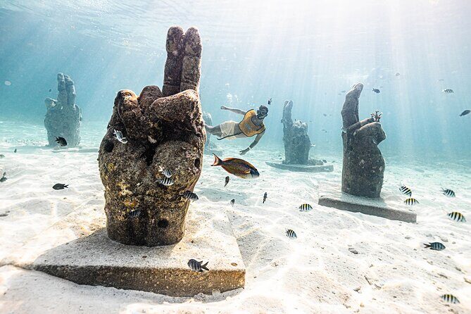 With Turtles, Shipwreck, Cenote, and Reef and Transport Included - Who is This Tour Best For?