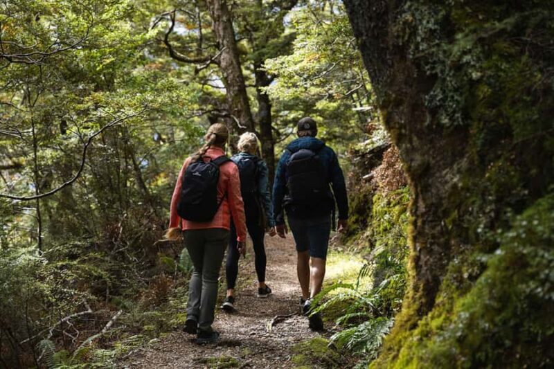 Wnaka: Heli Siberia - Helicopter Flight, Hike & Jet Boat - Who Is This Tour Best For?