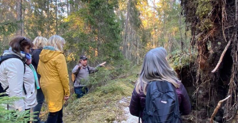 Wolf and Wildlife Tracking in Sweden - Who Should Consider This Tour?