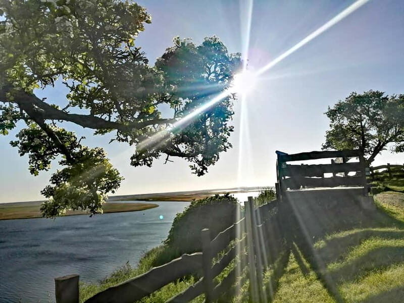 Wollin 3-island tour Land of 44 islands - Why This Tour Stands Out