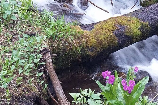 Women's Hike to Ouzel Falls in Rocky Mountain National Park - In-Depth Review of the Womens Hike to Ouzel Falls