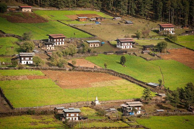 Wonderful Bhutan Tour- 8 Nights 9 Days - Who Is This Tour Best For?