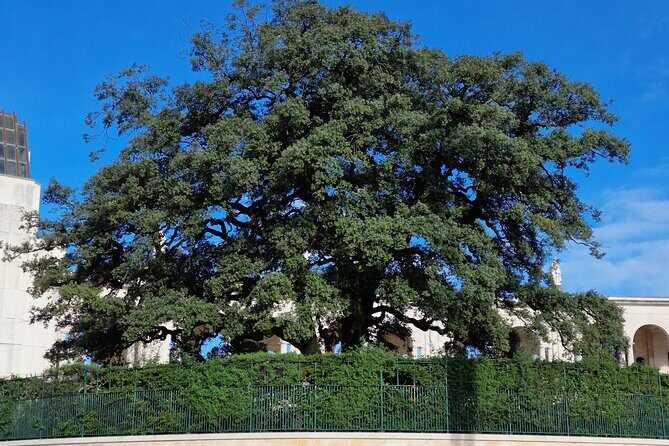 Wonderful Private Half-day tour in Fátima - An In-depth Review of the Fátima Private Half-day Tour