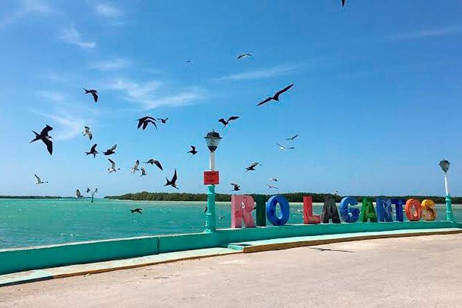 Wonderful Tour Las Coloradas & Buffete only from Cancun - Authentic Experience and Value