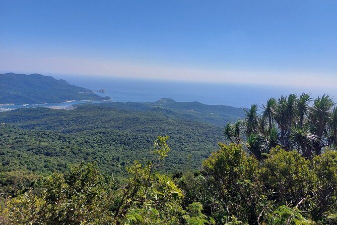 Wonders of Nui Chua National Park - Day Trek in Vinh Hy Bay - An Introduction to the Experience