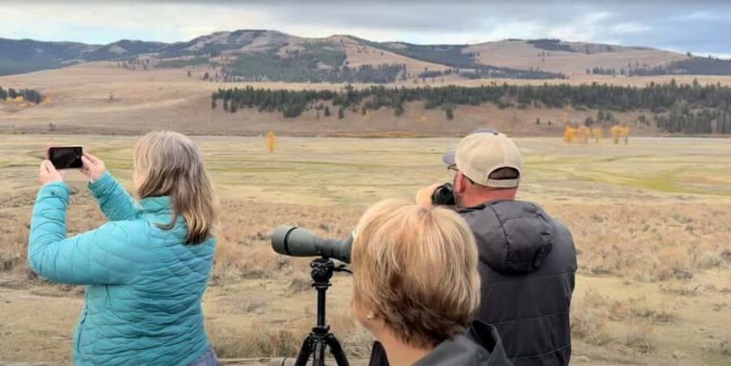 Wonders of Yellowstone: Private Lower Loop Tour with Lunch - An In-Depth Look at the Wonders of Yellowstone Private Tour