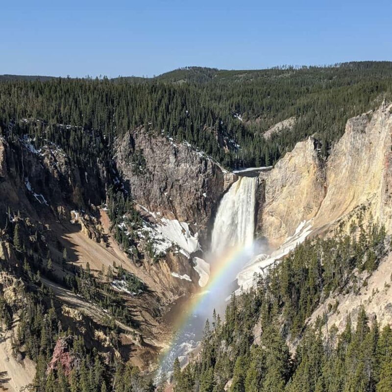 Wonders of Yellowstone: Private Lower Loop Tour with Lunch - The Sum Up