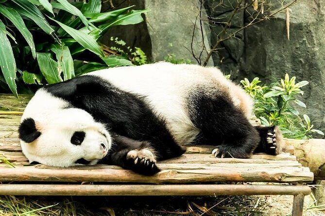 Wondrous Wildlife @ River Wonders + Roundtrip Transfers - What the Tour Includes and How It Works