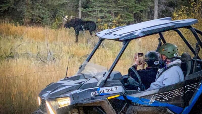 Woodland Park: 2 Hour Guided Rocky Mountain UTV Tour - An Overview of the UTV Adventure