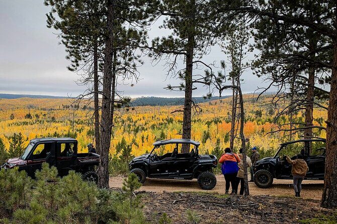 Woodland Park: 2 Hour Guided Wildlife Sunset UTV Tour - You Drive - Final Thoughts: Is It Worth It?