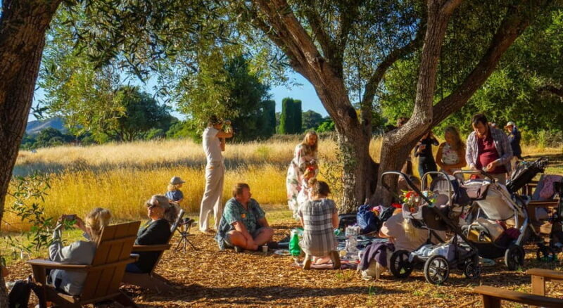 Woodside: Filoli Historic House and Garden Entry Ticket - Who Will Love This Experience?