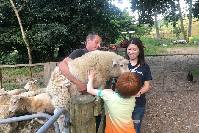 Wool Sheep Farm Experience with Handmade Wool Hat in New Zealand - Key Points