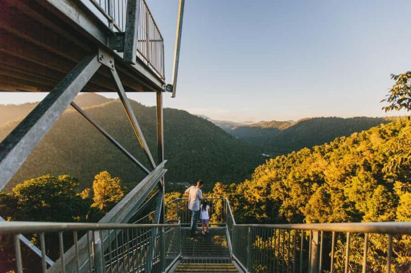 Wooroonooran National Park: Mamu Tropical Skywalk Admission - Introduction: The Experience and Who It’s For