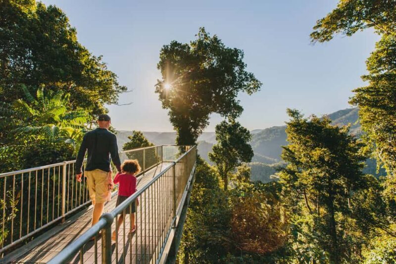 Wooroonooran National Park: Mamu Tropical Skywalk Admission - The Itinerary and What You Can Expect