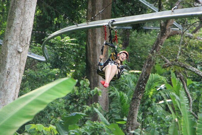 World B+ (Zipline 18 Platforms + Roller + Sky Walk with World Set Menu ) - Who Should Book This Tour?