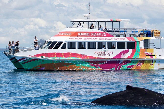World class Whale Watching from Hervey Bay - Practical Tips for Travelers