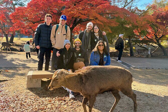 World Heritage Kyoto & Nara Uji Authentic Matcha Experience - A Deep Dive into the Itinerary and Experience
