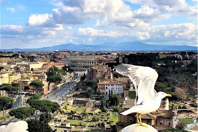 WOW Tour: Coliseum, Vatican, Squares, Luxury Car, Tickets, Lunch - The Value of the Experience