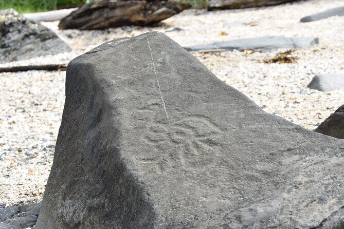 Wrangell E-Bike and Hike Adventure - An In-Depth Look at the Wrangell E-Bike and Hike Adventure