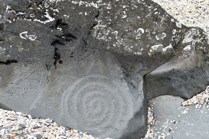 Wrangell E-Bike and Hike Adventure - FAQ