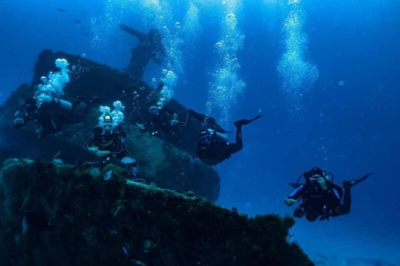 Wreck Dive in Playa del Carmen Dive Machine Experience - Authentic Voices and Practical Insights