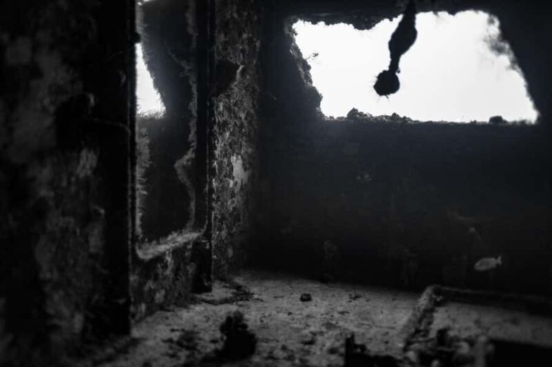 Wreck Dive in Playa del Carmen Dive Machine Experience - FAQ