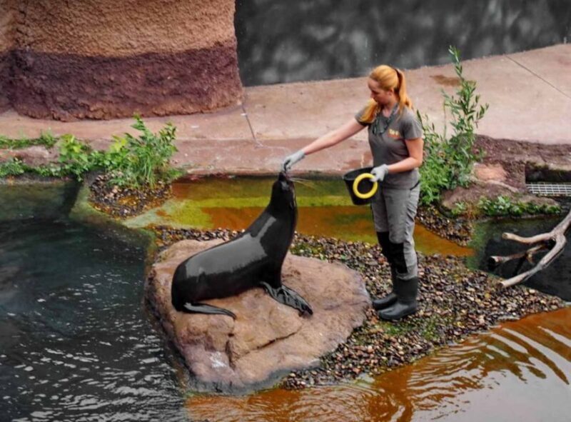 Wrocaw: 2-Hour Guided Tour for Children - The Sum Up