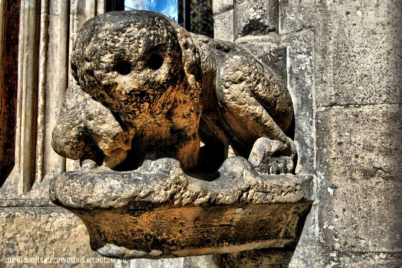 Wroclaw: Secrets of Wroclaw Walking Tour (2 hours) - The Practicalities: What to Expect