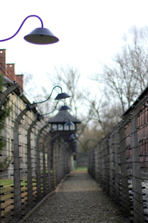 Wroclaw to Auschwitz-Birkenau Private Full-Day Trip by Car - Key Points
