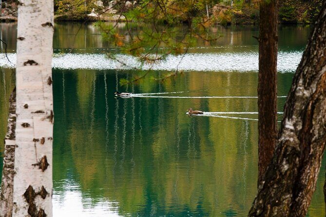 Wroclaw to Rock City in Adrsprach - Authentic Experiences and Practical Details