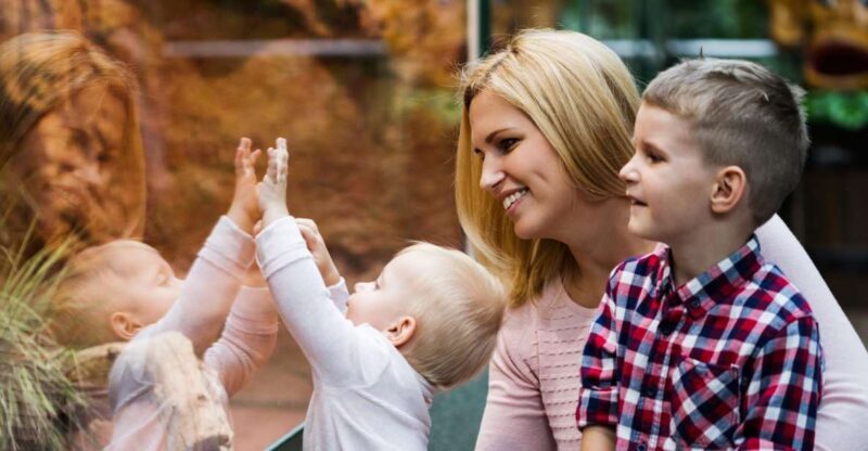 Wroclaw: Zoo with Private Transport and Tickets - The Sum Up