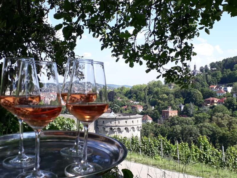 Wuerzburg: Wine mountain rally with wine tasting and group dynamics - The Authenticity and Unique Aspects