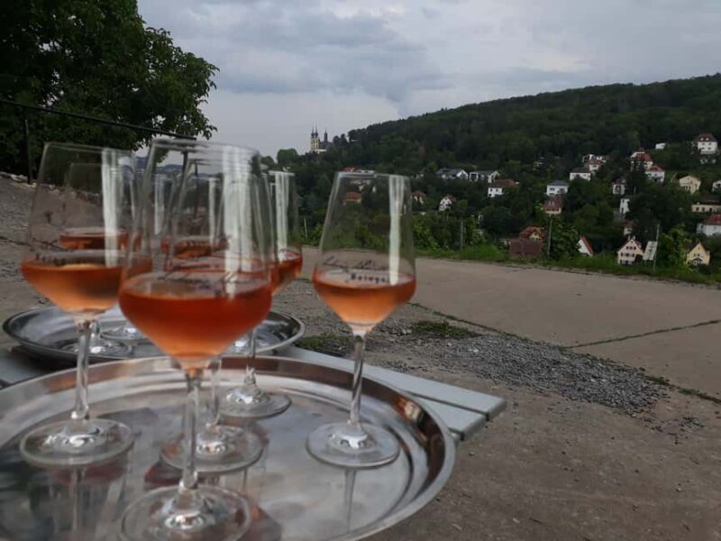 Wuerzburg: Wine mountain rally with wine tasting and group dynamics - Who Is This Tour Best For?
