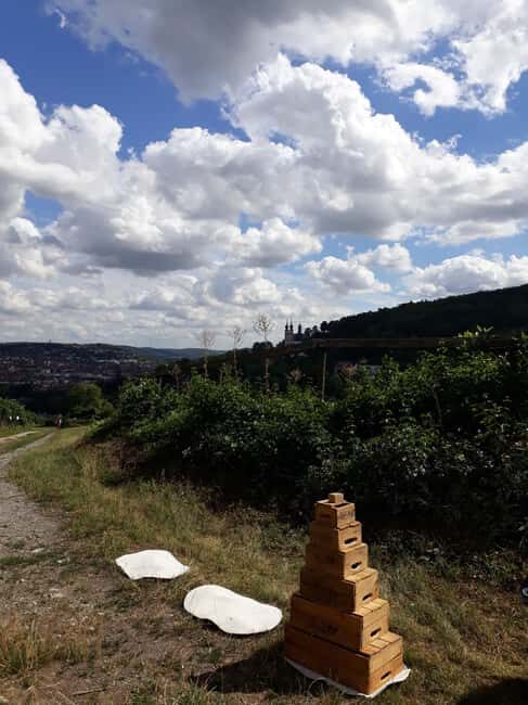 Wuerzburg: Wine mountain rally with wine tasting and group dynamics - Final Thoughts