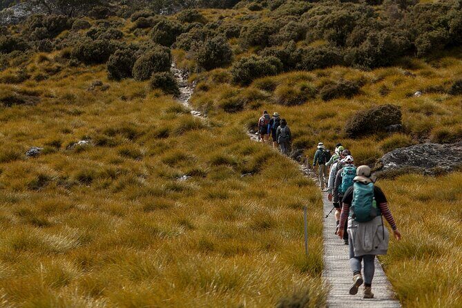 wulinantikala / Cradle Mountain Hiking Tour - 4 Days - What the Tour Includes and What It Means for You